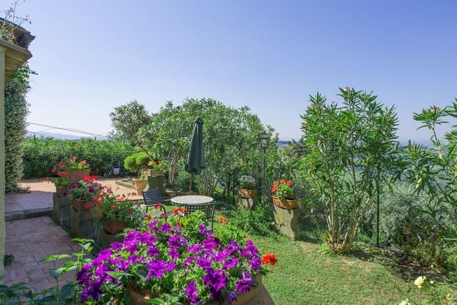 Panoramic Apartment, 1 Bedroom (Torre)