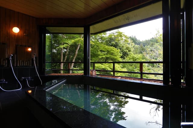 Twin Room with Tatami Area