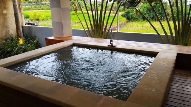 Two Bedroom Jacuzzi Private Villa
