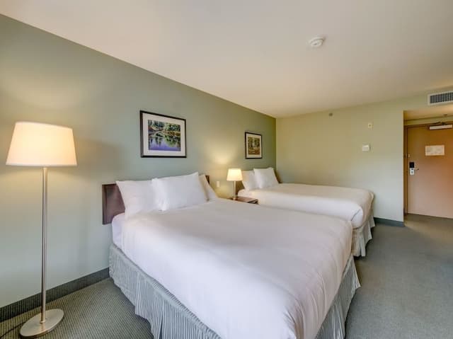 Standard Double Room, 2 Double Beds (Not Pet-Friendly)