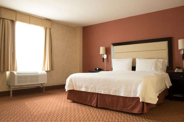 1 KING BED STUDIO SUITE W/ SOFABED NONSMOKING