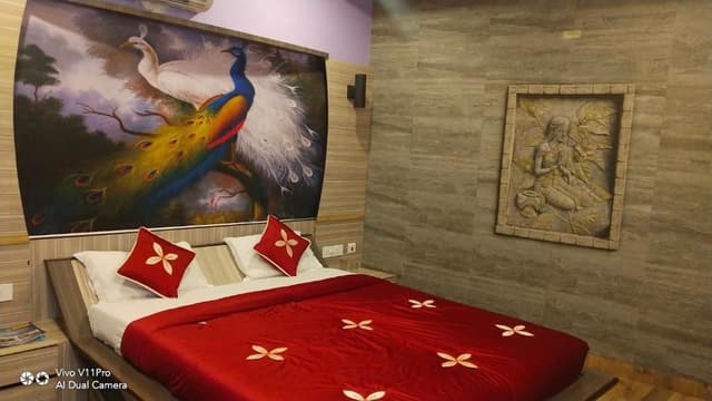 Deluxe AC Room