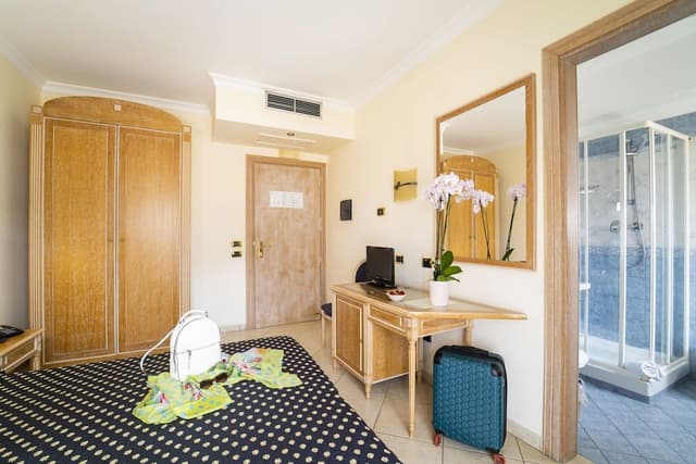 Classic Plus Room