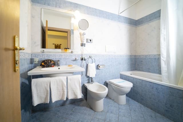 Classic Plus Room