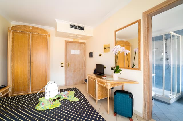 Classic Plus Room