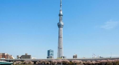 โฮเต็ล เบาเกนวิลล์ มิโนะวะ (Hotel Bougainvillea Minowa)3