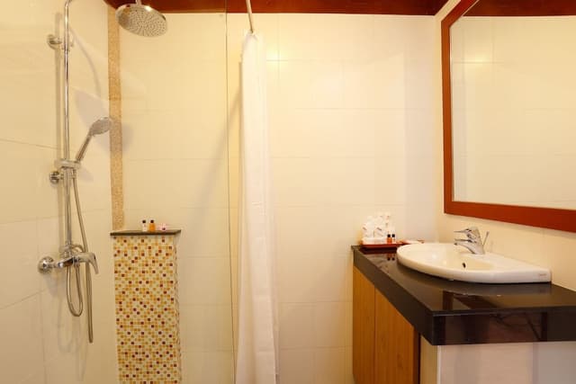 Deluxe Double or Twin Room with Lake View