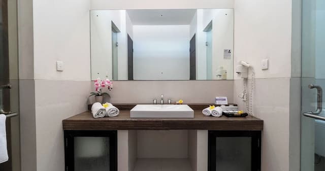 One Bedroom Suite