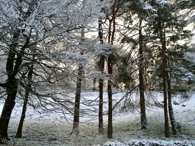 Double or Twin Room, Ensuite (The Dalesway)