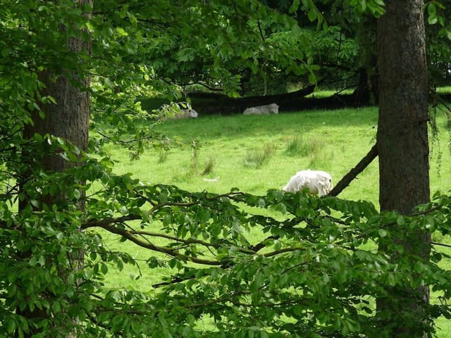 Double or Twin Room, Ensuite (The Dalesway)
