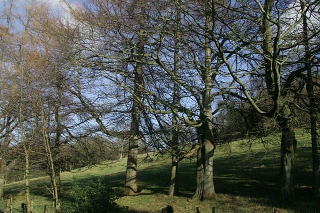 Double or Twin Room, Ensuite (The Dalesway)