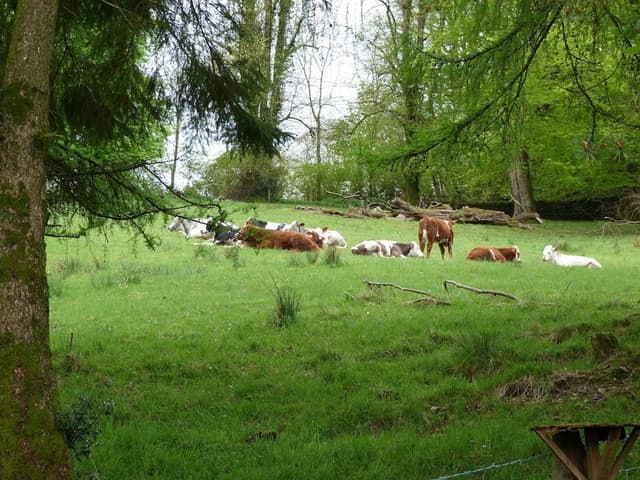 Double or Twin Room, Ensuite (The Dalesway)