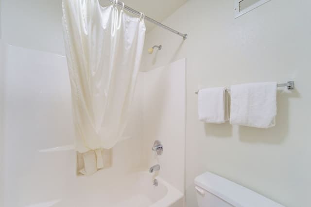 Room, 1 King Bed, Non Smoking, Jetted Tub