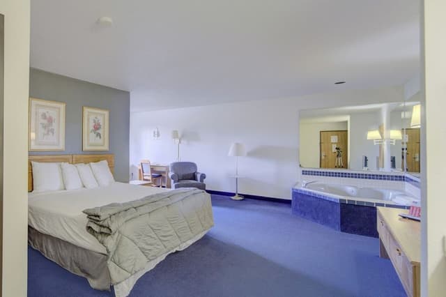Room, 1 King Bed, Non Smoking, Jetted Tub