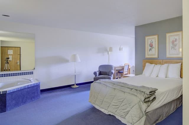 Room, 1 King Bed, Non Smoking, Jetted Tub