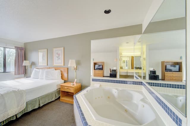Room, 1 King Bed, Non Smoking, Jetted Tub