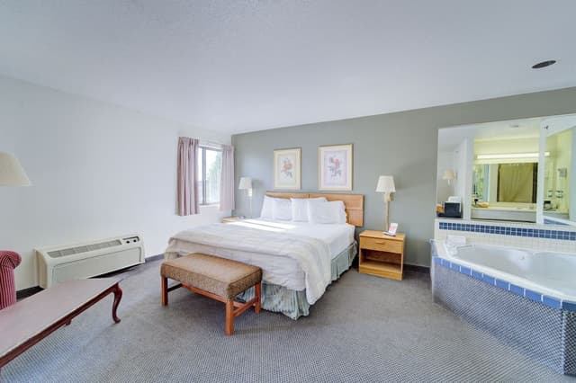 Room, 1 King Bed, Non Smoking, Jetted Tub