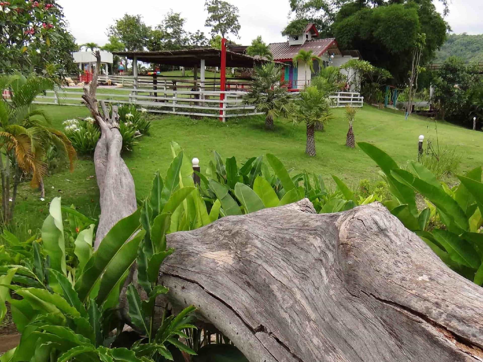 เดอะบันยัน ลีฟ รีสอร์ท เดอะบันยัน ลีฟ รีสอร์ท