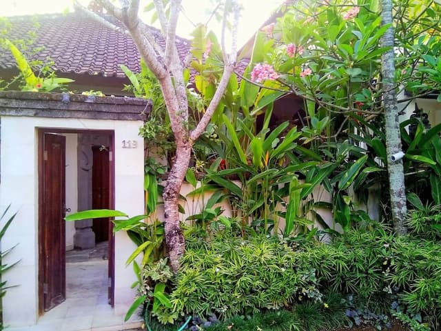 Studio Suite, 1 Bedroom