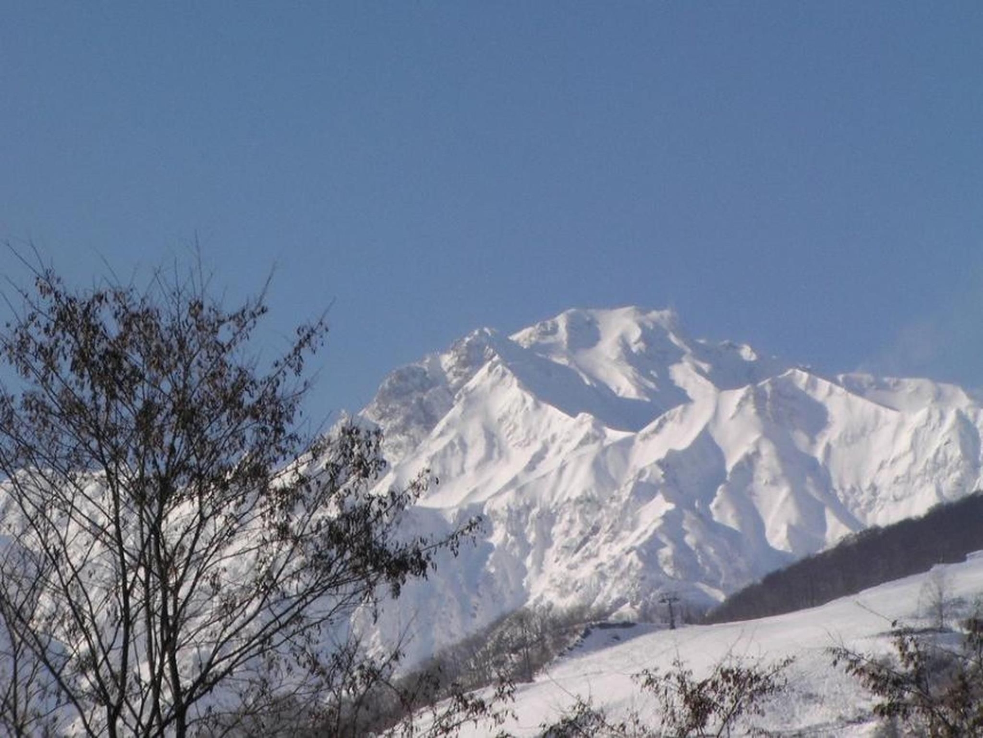 อัลไพน์ ลอดจ์ (Alpine Lodge)3