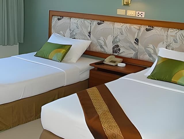 Deluxe Twin Room