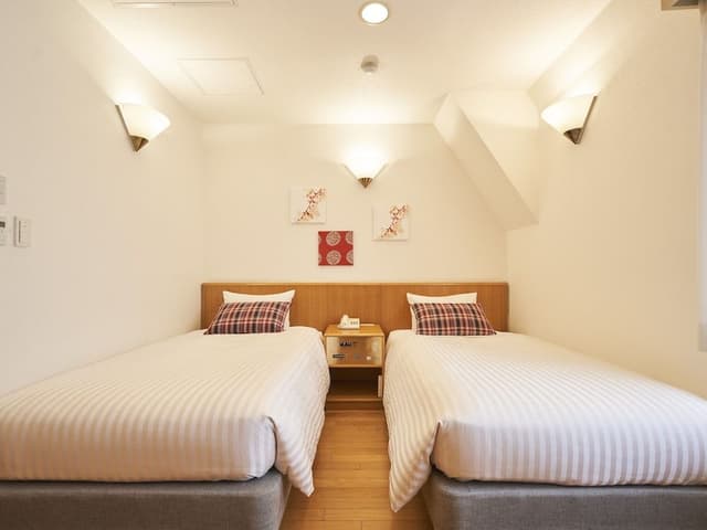 Twin Room Single Use, Non-Smoking