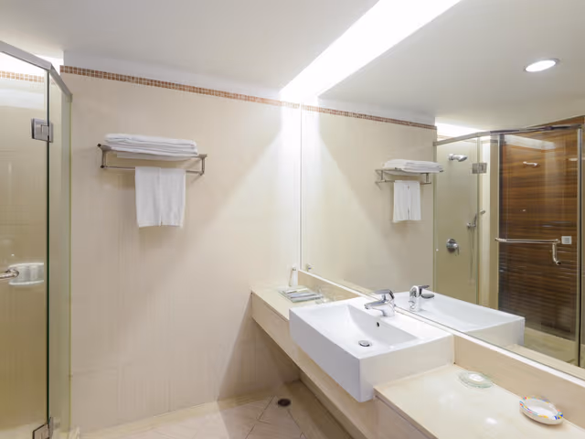 Business Twin Room