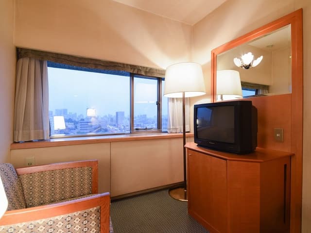 Basic Single Room