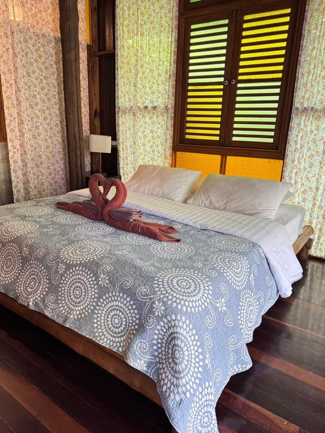 Mangrove Room 1