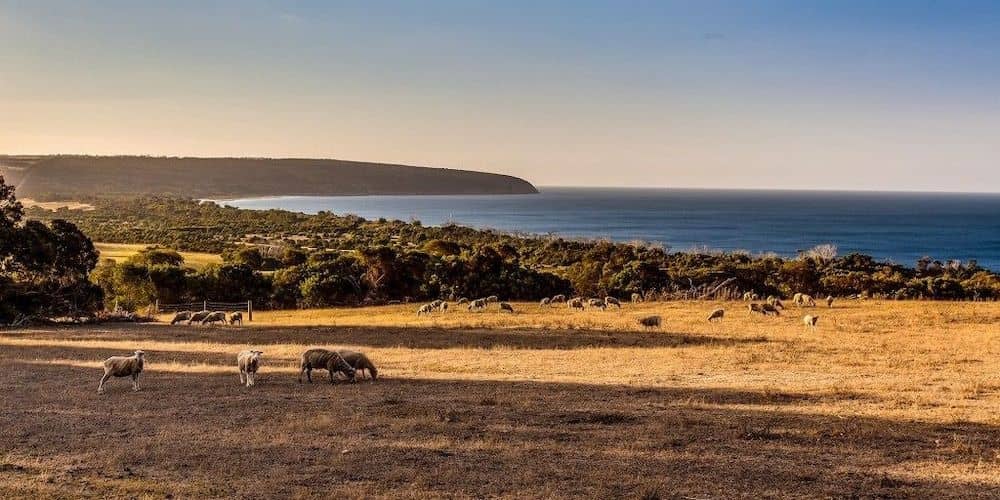 Antechamber Bay Retreats Antechamber Bay Retreats