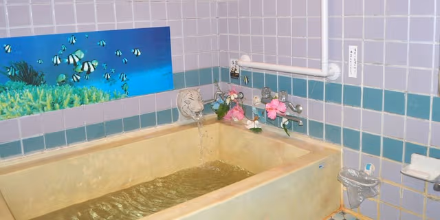 Basic Triple Room
