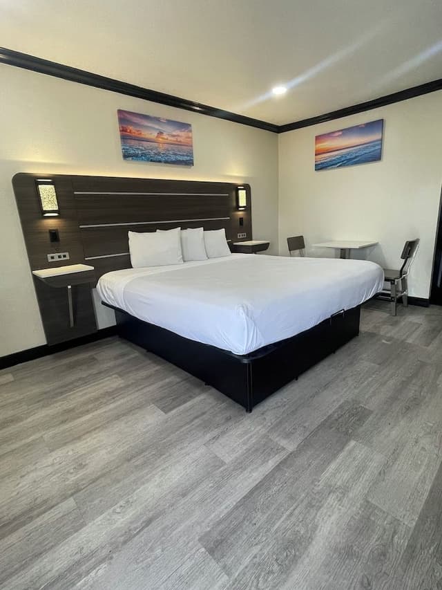 Superior Single Room, 1 King Bed, Non Smoking, Microwave