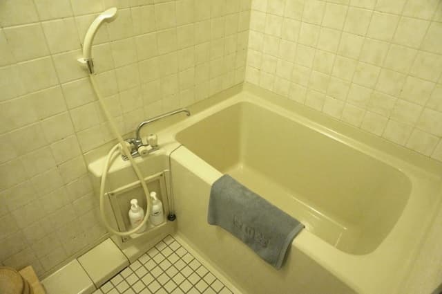 Japanese Style Room,Open Air Bath,Mountain View,SHIKISAI,with Half Board (Special Dinner)