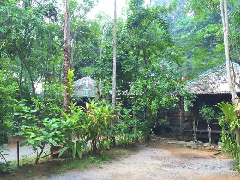 Pang Mai Resort Pang Mai Resort