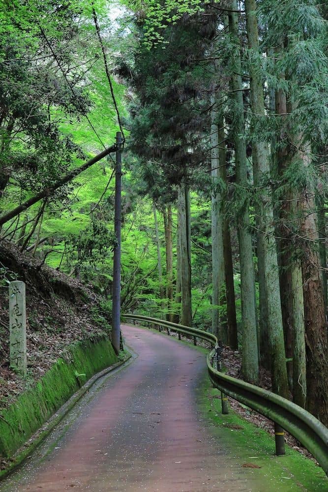 Wanokura Wanokura