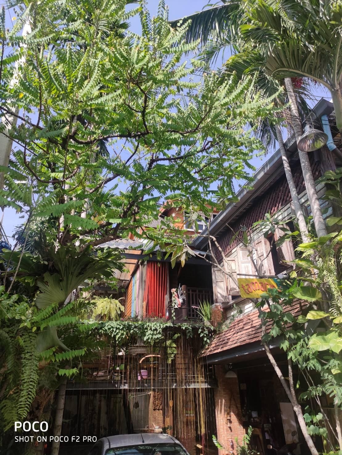 แทมมารีน เกสท์เฮาส์ (Tamarind Guesthouse)0