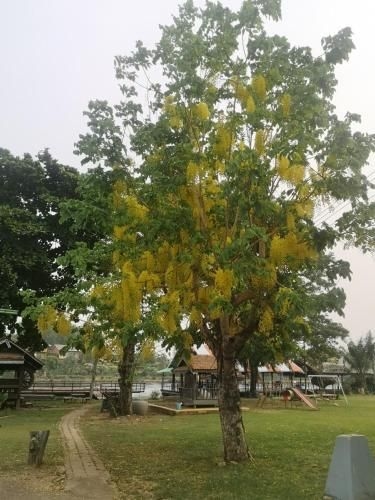 บัวสวรรค์ รีสอร์ท (Bua Sawan Resort)4
