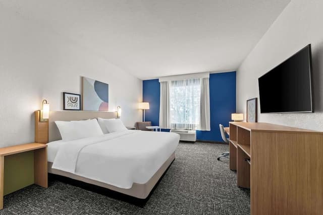 Room, 1 King Bed