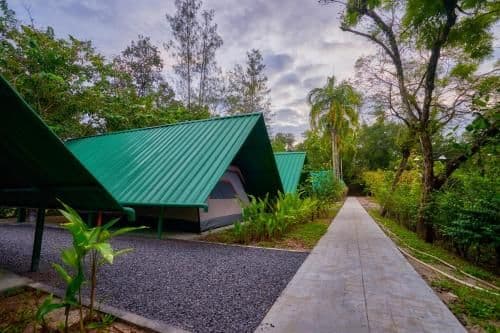 Tent Ing Nam