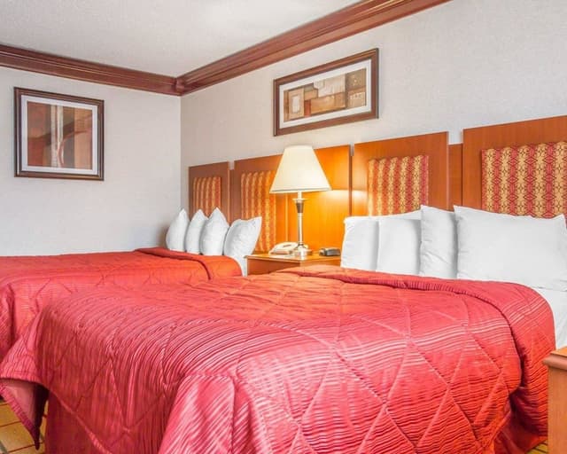 Standard Double Room, 2 Double Beds, Non Smoking