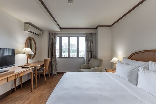 Deluxe Suite, 4 Bedrooms, Kitchen, City View