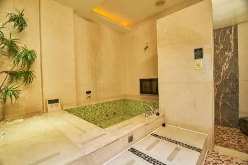 Executive Suite Whirlpool Bathtub