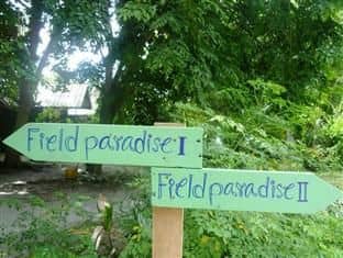Field Paradise 1 Hotel Field Paradise 1 Hotel