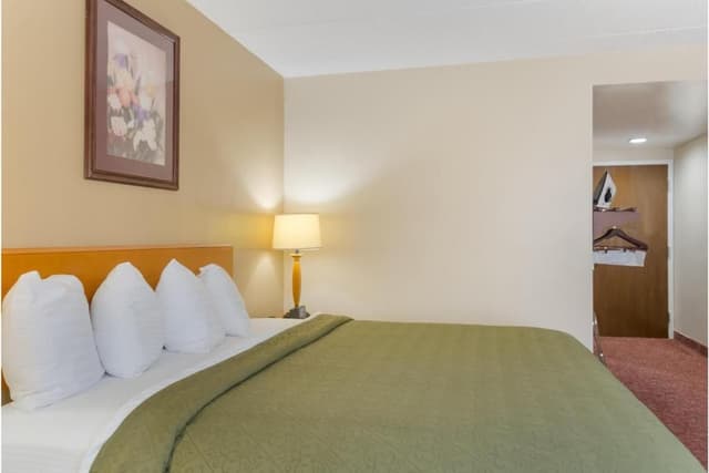 Deluxe King Bed Non-smoking