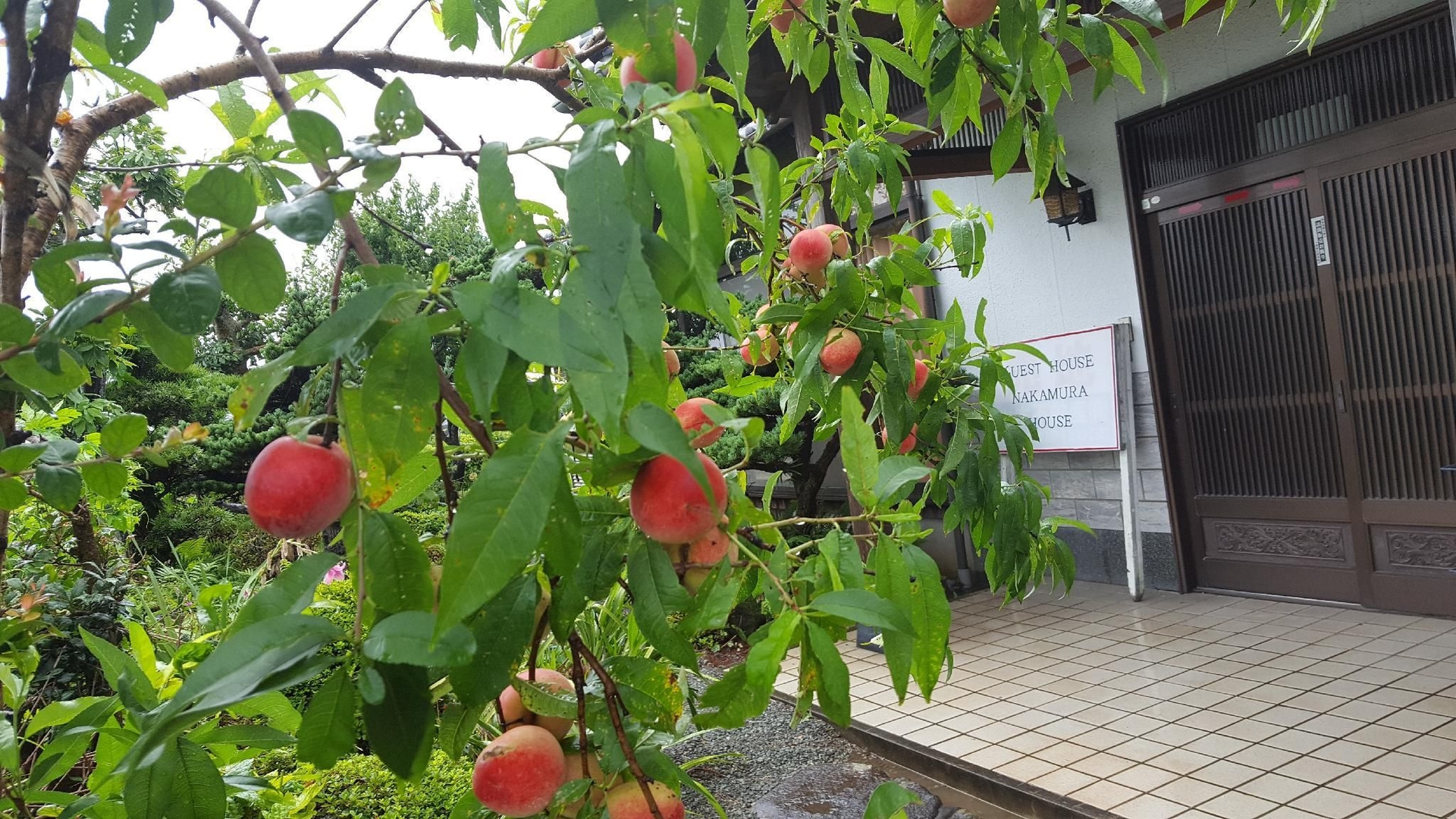 เกสต์เฮาส์ นะกะมุระ เฮาส์ (Guest House Nakamura House)2
