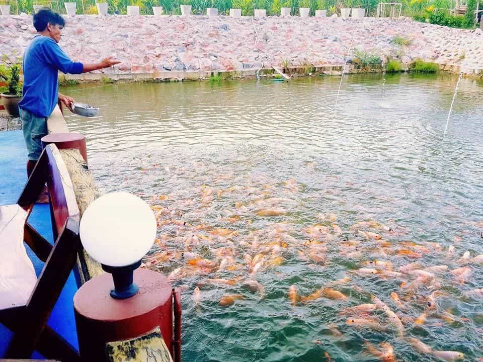 42 สมหวังรีสอร์ท 42 สมหวังรีสอร์ท