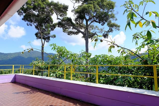 2 Bedrooms Superior Villa