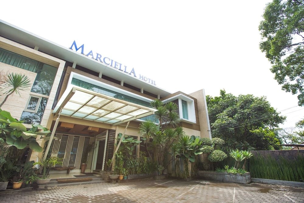 Marciella Hotel3