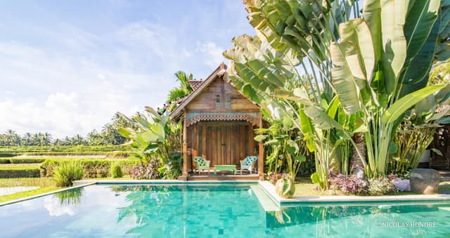 Bungalow Suite