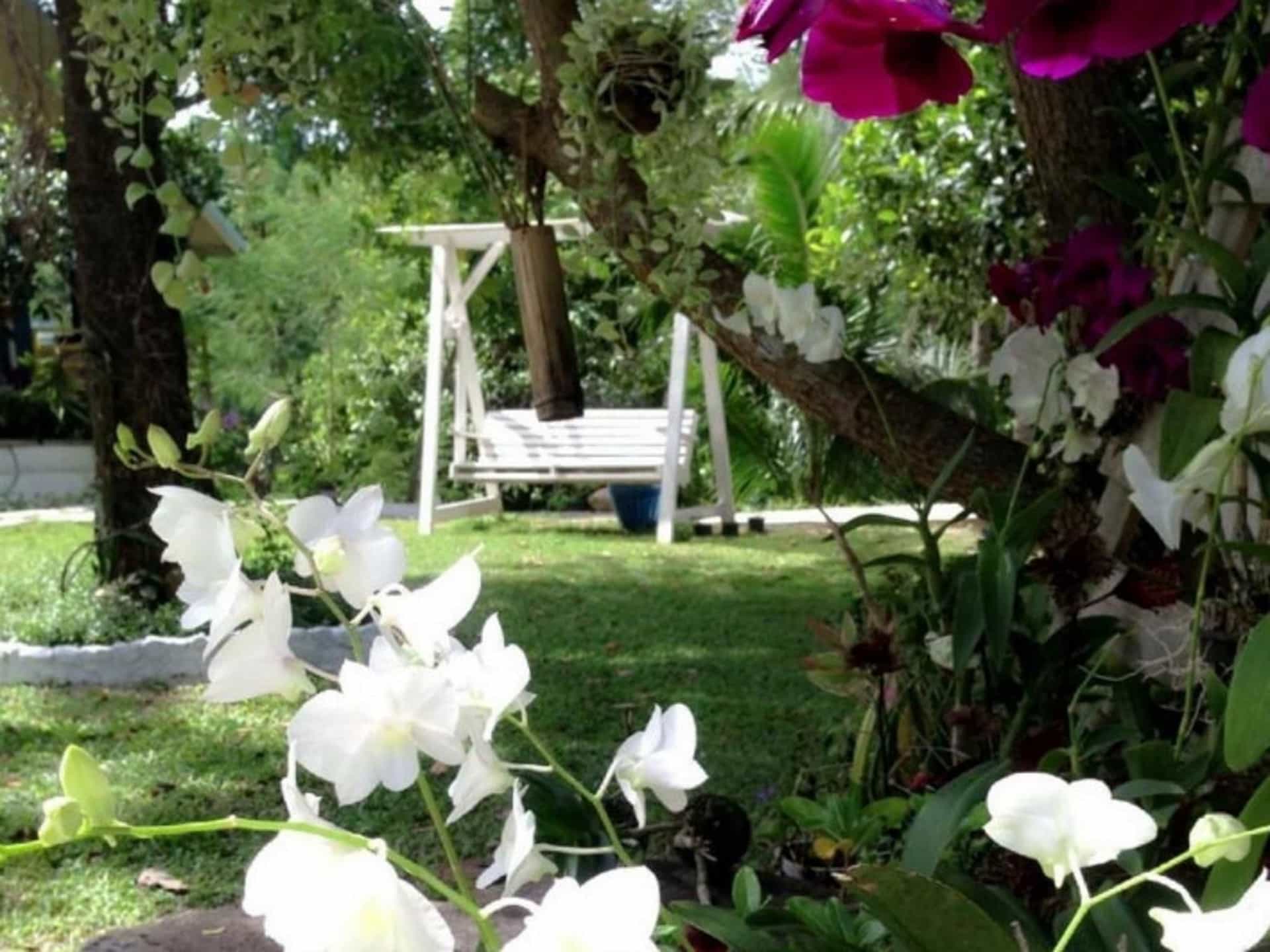 ริมธาร คัลเลอร์ คอทเทจ ริมธาร คัลเลอร์ คอทเทจ